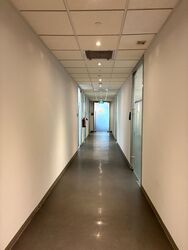 Tan Chong Tower (D7), Office #553617481